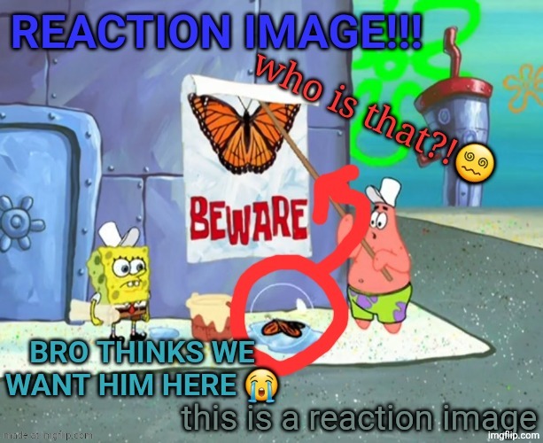 bro thinks we want him here | image tagged in bro thinks we want him here | made w/ Imgflip meme maker