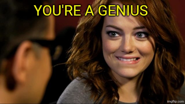 Emma, biting lip | YOU'RE A GENIUS | image tagged in emma biting lip | made w/ Imgflip meme maker