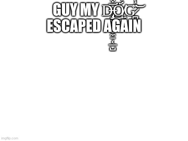 GUY MY D̶̡̡̧͎̮̤͓͙̼̠͔̲̺̅͒̅͛͜Ö̸͖͔́̒͘G̷̪̏̾̔͒̋͝ ESCAPED AGAIN | made w/ Imgflip meme maker