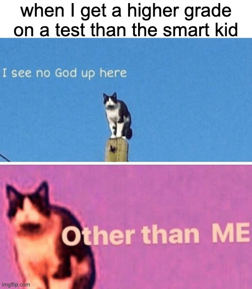 Smort | when I get a higher grade on a test than the smart kid | image tagged in hail pole cat | made w/ Imgflip meme maker