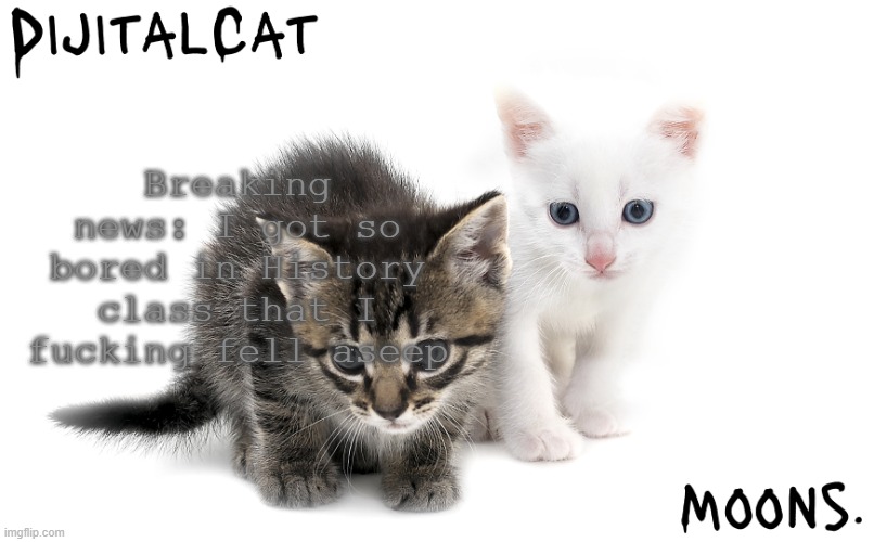 moons and dijitalcat kitty temp | Breaking news: I got so bored in History class that I fucking fell aseep | image tagged in moons and dijitalcat kitty temp | made w/ Imgflip meme maker