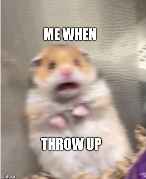 ME WHEN THROW UP | image tagged in scared hamster | made w/ Imgflip meme maker