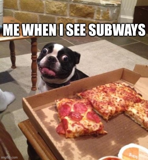 Me when subways | ME WHEN I SEE SUBWAYS | image tagged in hungry pizza dog | made w/ Imgflip meme maker