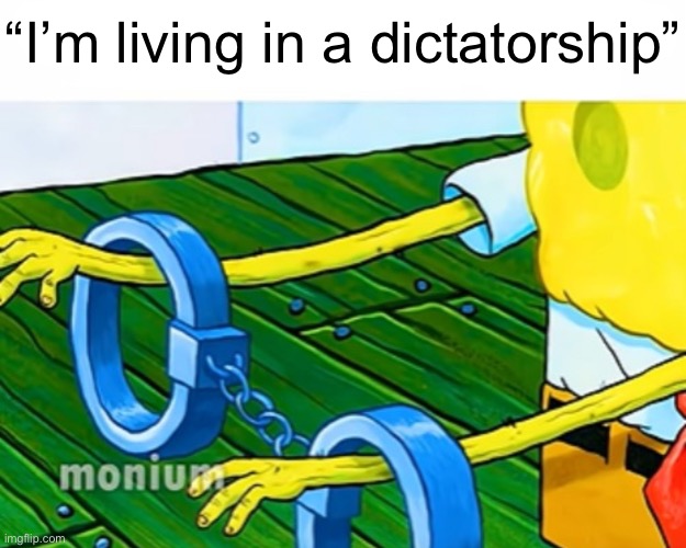 “I’m living in a dictatorship” | made w/ Imgflip meme maker