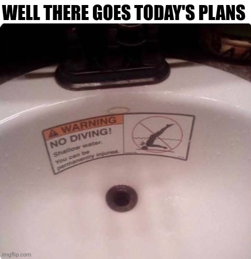 Well There Goes Today's Plans | WELL THERE GOES TODAY'S PLANS | image tagged in chrisjoines1 | made w/ Imgflip meme maker