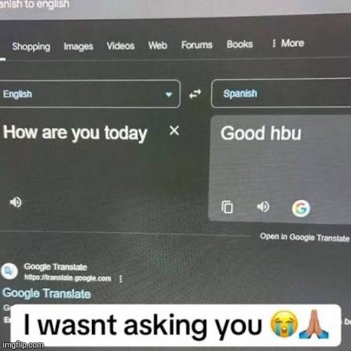 google ai when you search for a meme | made w/ Imgflip meme maker