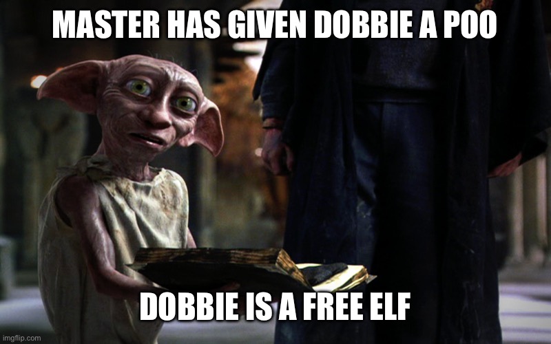 Dobby Sock | MASTER HAS GIVEN DOBBIE A POO DOBBIE IS A FREE ELF | image tagged in dobby sock | made w/ Imgflip meme maker