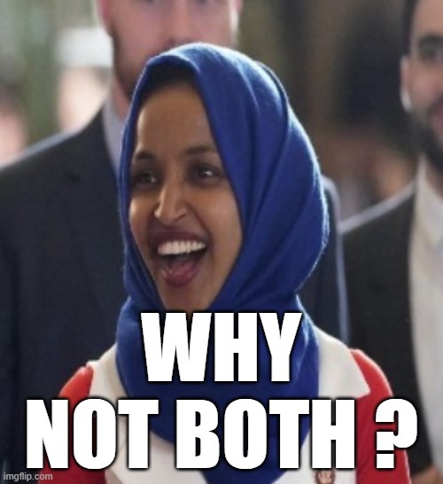 WHY NOT BOTH ? | made w/ Imgflip meme maker