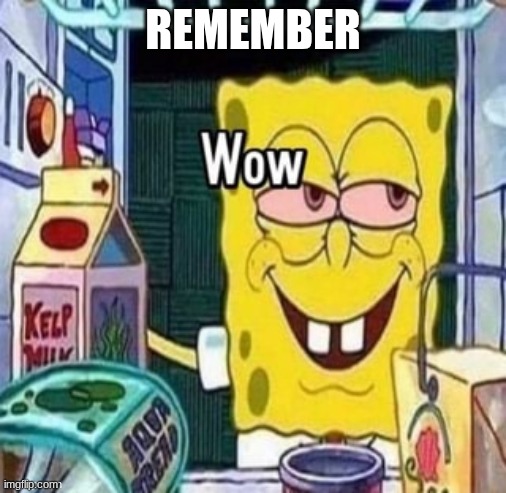 Wow bob | REMEMBER | image tagged in wow bob | made w/ Imgflip meme maker