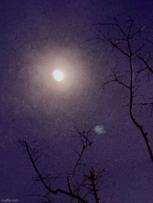 Photo of the moon | image tagged in memes | made w/ Imgflip meme maker