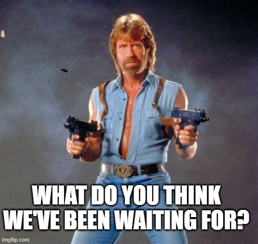 Chuck Norris Guns Meme | WHAT DO YOU THINK WE'VE BEEN WAITING FOR? | image tagged in memes,chuck norris guns,chuck norris | made w/ Imgflip meme maker