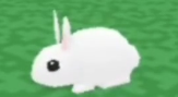 what a cute bunny I wonder what it will say Blank Meme Template