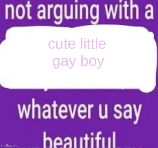 not arguing with a | cute little gay boy | image tagged in not arguing with a | made w/ Imgflip meme maker