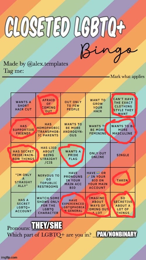 Closeted LGBTQ+ Bingo | THEY/SHE; PAN/NONBINARY | image tagged in closeted lgbtq bingo | made w/ Imgflip meme maker