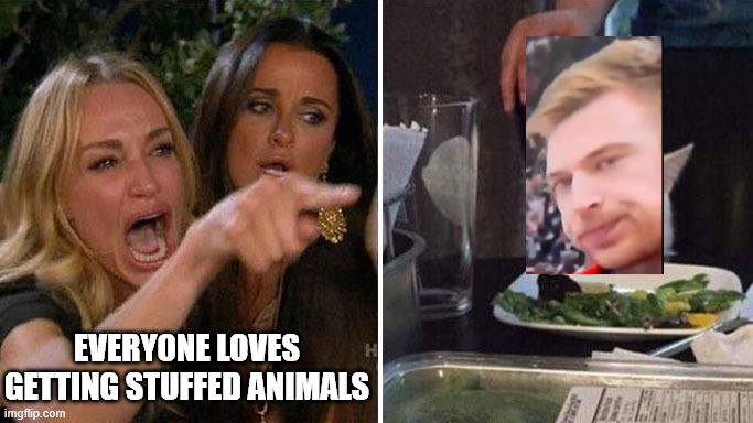 Angry lady cat | EVERYONE LOVES GETTING STUFFED ANIMALS | image tagged in angry lady cat | made w/ Imgflip meme maker