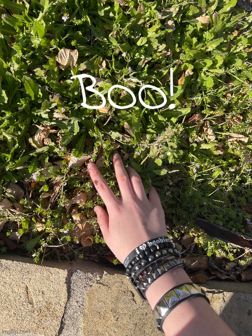 BOO! | made w/ Imgflip meme maker