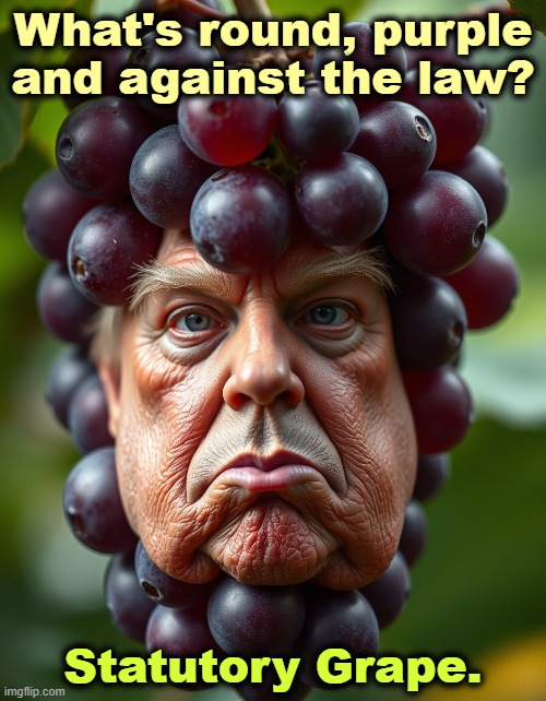 What's round, purple and against the law? Statutory Grape. | image tagged in trump,grape,illegal,criminal,jeffrey epstein | made w/ Imgflip meme maker