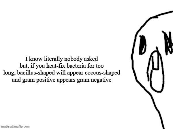thothe who thcream into the void (thanks jim) | I know literally nobody asked but, if you heat-fix bacteria for too long, bacillus-shaped will appear coccus-shaped and gram positive appears gram negative | image tagged in thothe who thcream into the void thanks jim | made w/ Imgflip meme maker