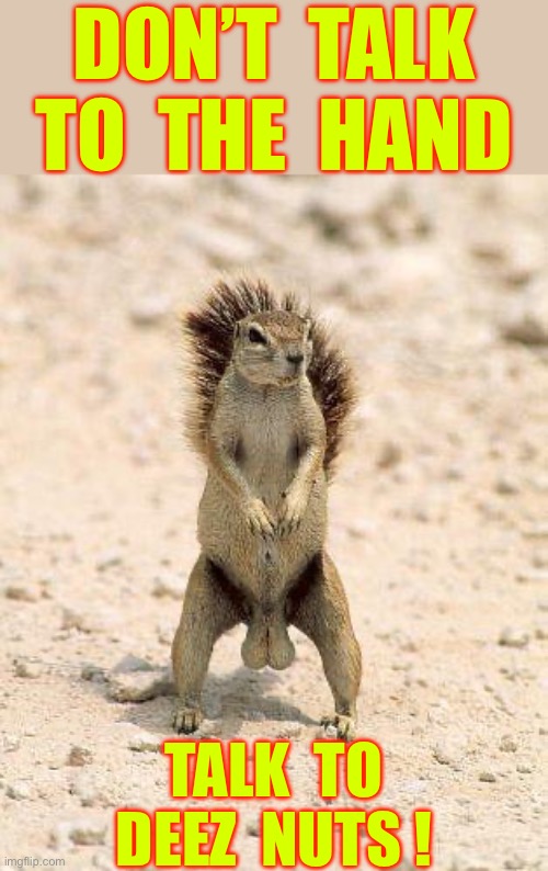 Don’t Talk To The Hand !!!  LOL  : ) | DON’T  TALK
TO  THE  HAND; TALK  TO
DEEZ  NUTS ! | image tagged in super confident squirrel | made w/ Imgflip meme maker