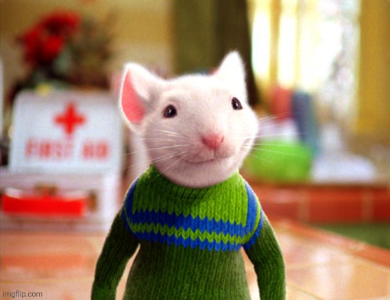 Stuart Little | image tagged in stuart little | made w/ Imgflip meme maker