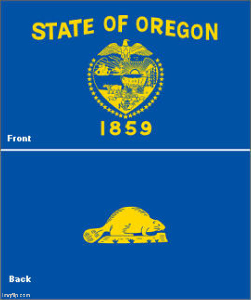 Oregon flag | image tagged in oregon flag | made w/ Imgflip meme maker