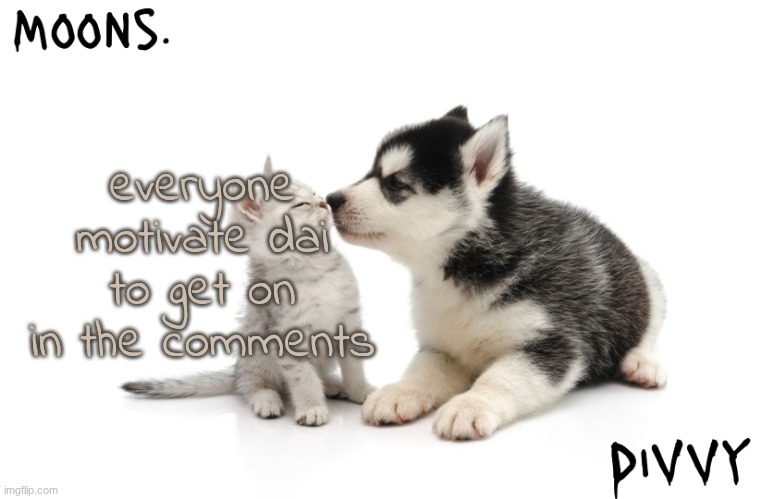 i js begged him on pinterest to get on n he said "only if the people want me to" | everyone motivate dai to get on in the comments | image tagged in moons n d1vvy - husky n kitty temp | made w/ Imgflip meme maker