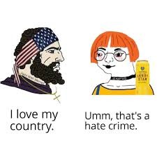 image tagged in usa,america,leftist,united states,patriot,sjw | made w/ Imgflip meme maker