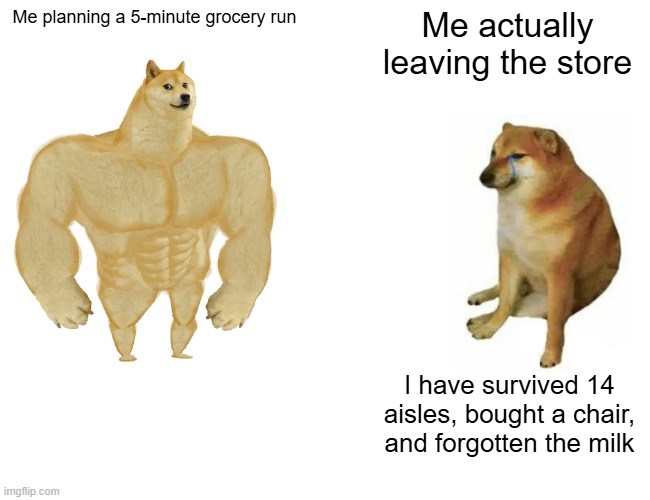 Buff Doge vs. Cheems Meme | Me planning a 5-minute grocery run; Me actually leaving the store; I have survived 14 aisles, bought a chair, and forgotten the milk | image tagged in memes,buff doge vs cheems | made w/ Imgflip meme maker
