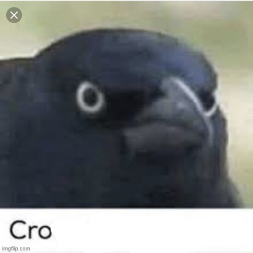 cro | image tagged in cro,msmg | made w/ Imgflip meme maker