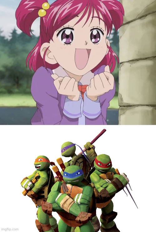 Nozomi Yumehara is Excited to see TMNT 2012 | image tagged in tmnt,teenage mutant ninja turtles,tmnt 2012,nickelodeon,yes precure 5,memes | made w/ Imgflip meme maker