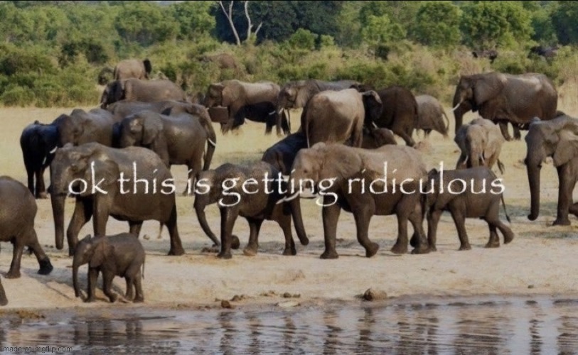 ok this is getting ridiculous | image tagged in ok this is getting ridiculous | made w/ Imgflip meme maker