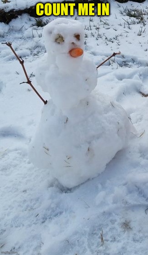 please kill me snowman | COUNT ME IN | image tagged in please kill me snowman | made w/ Imgflip meme maker