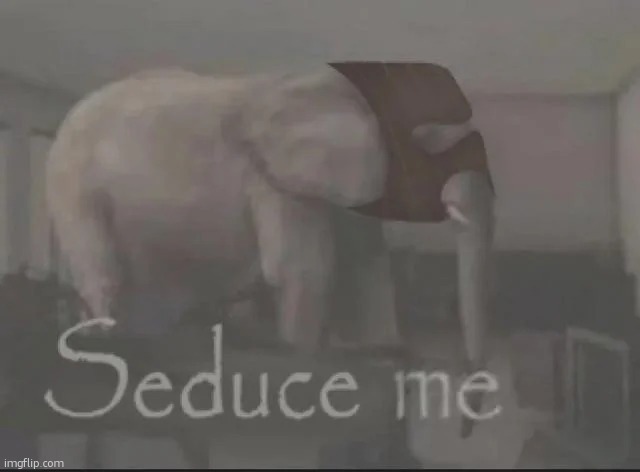 seduce me | image tagged in seduce me | made w/ Imgflip meme maker
