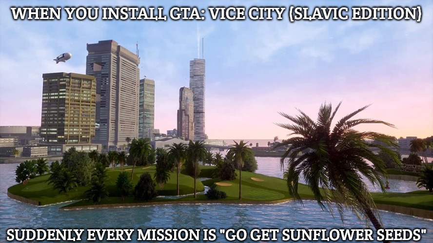 Slavic Vice City | WHEN YOU INSTALL GTA: VICE CITY (SLAVIC EDITION); SUDDENLY EVERY MISSION IS "GO GET SUNFLOWER SEEDS" | image tagged in slavic vice city,slavic gta | made w/ Imgflip meme maker