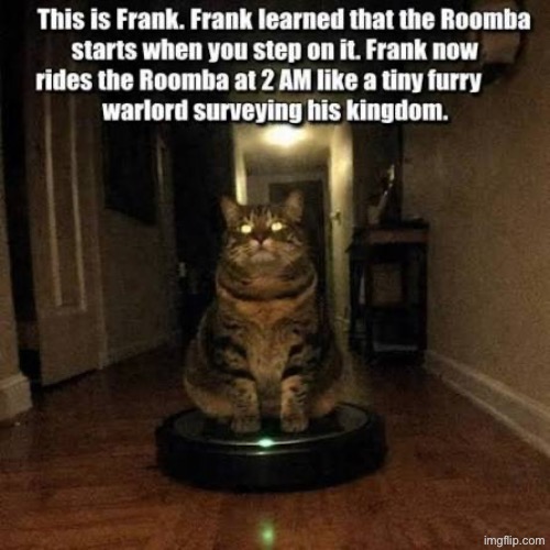 Roomba Overlord | image tagged in cats,funny cats,roomba,evil overlord rules,surveillance,party time | made w/ Imgflip meme maker