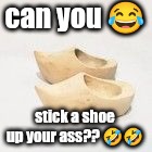 wooden shoes | can you ? stick a shoe up your ass?? ?? | image tagged in wooden shoes | made w/ Imgflip meme maker