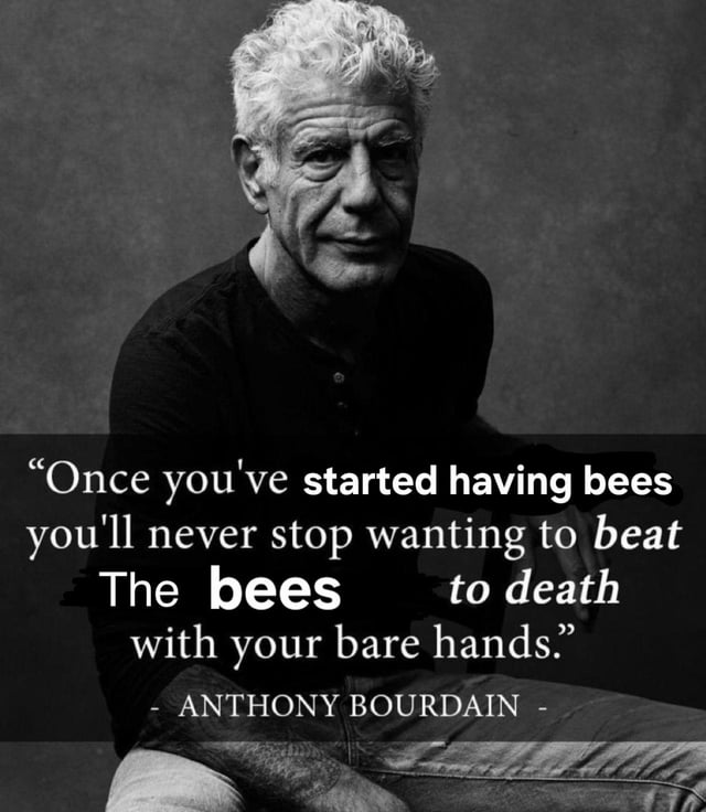 once you've started having bees Blank Meme Template