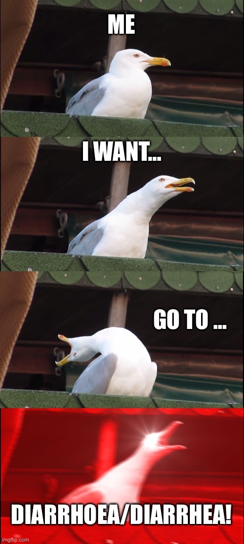 Inhaling Seagull Meme | ME; I WANT…; GO TO …; DIARRHOEA/DIARRHEA! | image tagged in memes,inhaling seagull | made w/ Imgflip meme maker
