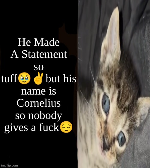 Cornelius made a statement | He Made A Statement so tuff🥹✌but his name is Cornelius so nobody gives a fuck😔 | image tagged in he made a statement blank | made w/ Imgflip meme maker