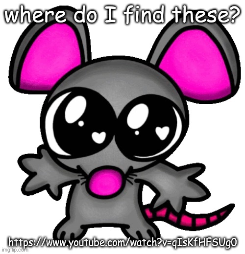 me :3 | where do I find these? https://www.youtube.com/watch?v=qIsKfHFSUg0 | image tagged in me 3 | made w/ Imgflip meme maker