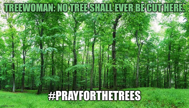 Treewoman’s Message | TREEWOMAN: NO TREE SHALL EVER BE CUT HERE. #PRAYFORTHETREES | image tagged in green forest,megaman | made w/ Imgflip meme maker