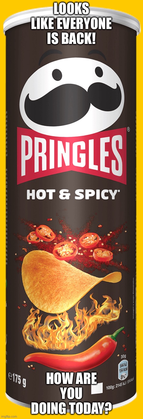 Pringles | LOOKS LIKE EVERYONE IS BACK! HOW ARE YOU DOING TODAY? | image tagged in pringles | made w/ Imgflip meme maker