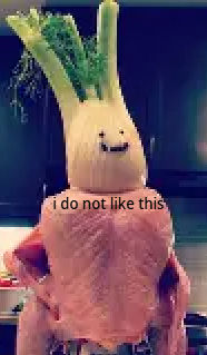 I do not like this Blank Meme Template