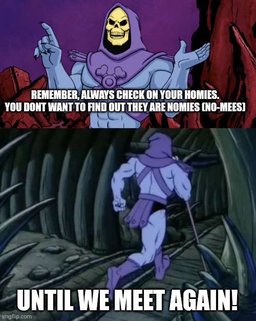 Skeletor until we meet again | REMEMBER, ALWAYS CHECK ON YOUR HOMIES. YOU DONT WANT TO FIND OUT THEY ARE NOMIES (NO-MEES); UNTIL WE MEET AGAIN! | image tagged in skeletor until we meet again | made w/ Imgflip meme maker