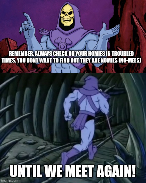 Check on your homies! | REMEMBER, ALWAYS CHECK ON YOUR HOMIES IN TROUBLED TIMES. YOU DONT WANT TO FIND OUT THEY ARE NOMIES (NO-MEES); UNTIL WE MEET AGAIN! | image tagged in skeletor until we meet again,memes,mental health | made w/ Imgflip meme maker