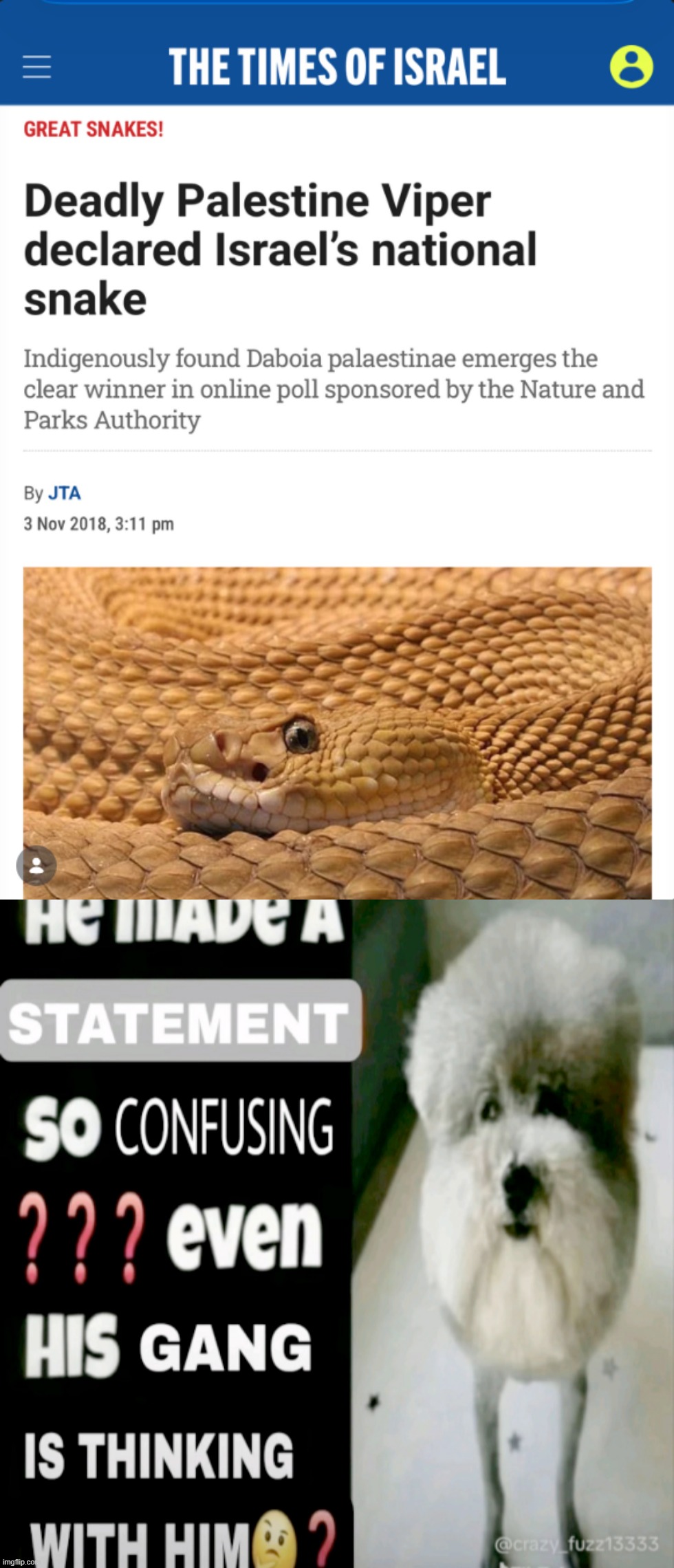 wdym israel's national animal has "palestine" in its name? | image tagged in he made a statement so confusing | made w/ Imgflip meme maker