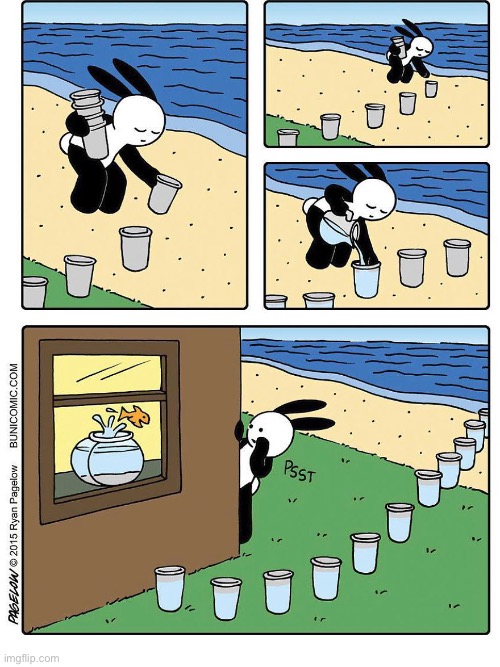 Buni Comics | image tagged in comics,buni comics,goldfish,ocean,glasses,freedom | made w/ Imgflip meme maker