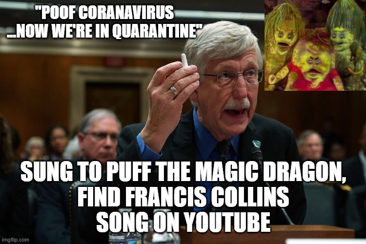 QUARANTINE was the GOAL Just called it Lockdowns for some state governments IMPRISONED citizens in their homes. | "POOF CORANAVIRUS
...NOW WE'RE IN QUARANTINE"; SUNG TO PUFF THE MAGIC DRAGON,
FIND FRANCIS COLLINS
SONG ON YOUTUBE | image tagged in francis collins,dr fauci,cdc,cultural marxism,quarantine,lockdown | made w/ Imgflip meme maker