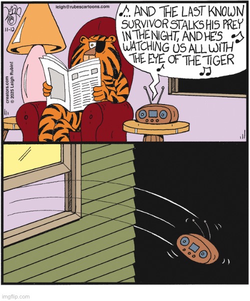 Rubes | image tagged in comics,rubes,tiger,survivor,song,radio | made w/ Imgflip meme maker