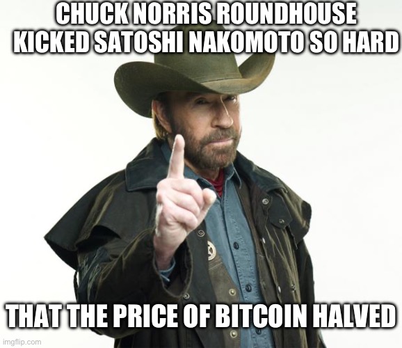 That’s why bitcoin plummeted from $105k to $63k recently | CHUCK NORRIS ROUNDHOUSE KICKED SATOSHI NAKOMOTO SO HARD; THAT THE PRICE OF BITCOIN HALVED | image tagged in memes,chuck norris finger,chuck norris | made w/ Imgflip meme maker